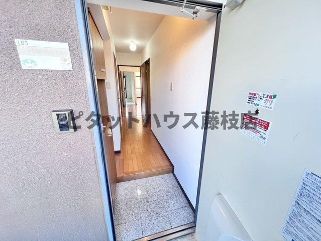 焼津市石津中町マンション 玄関