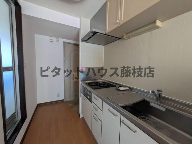 藤枝市南駿河台アパート その他