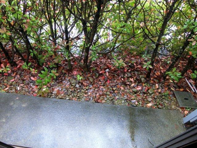 袋井市方丈アパート 庭
