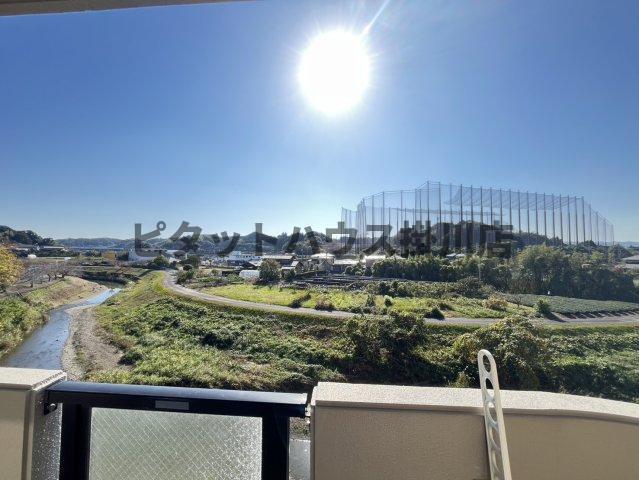 掛川市宮脇アパート 部屋画像