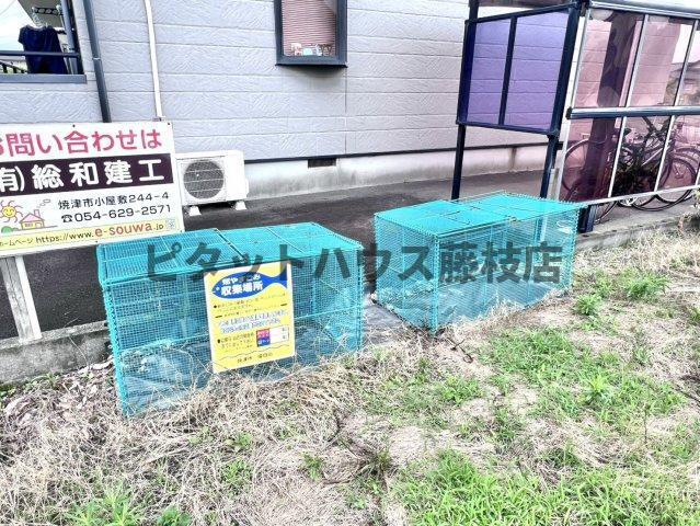 焼津市南小川アパート 部屋画像