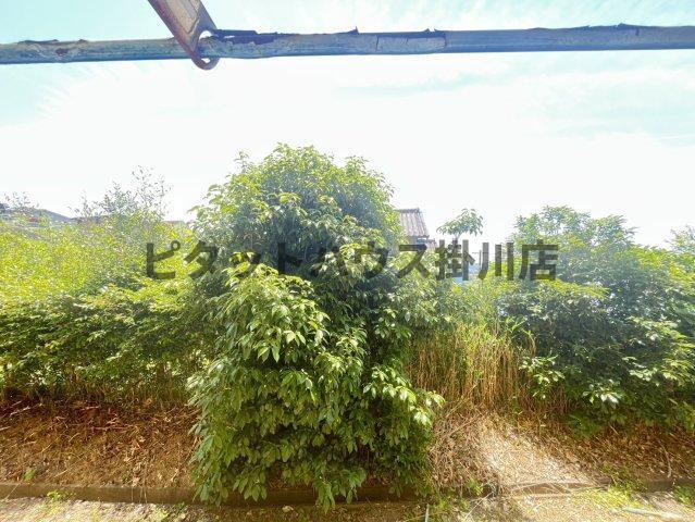 掛川市上西郷アパート 部屋画像