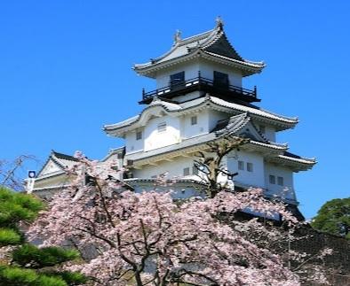 掛川市弥生町マンション 部屋画像