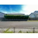 掛川市大坂アパート 部屋画像