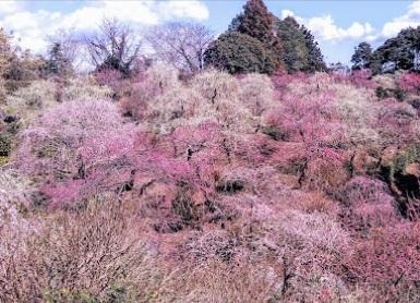 掛川市弥生町アパート 部屋画像