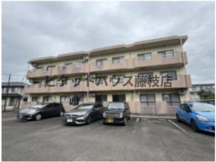 焼津市柳新屋マンション 外観