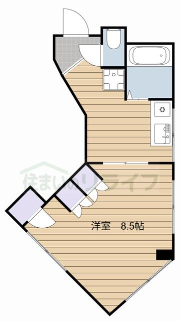 ＴＯＵＲＹＵ　ＯＣＨＡＮＯＭＩＺＵ 30