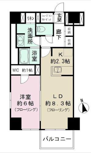 カメリアコート新宿 / 301