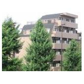リライフ下北沢店