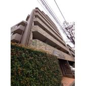 室内見学承ります。当店掲載物件以外もまと