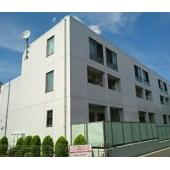 Ms.シンフォニー