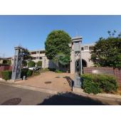 室内見学承ります。当店掲載物件以外もまと