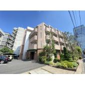 ビバグランデ光琳