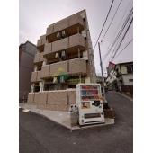 エバーグリーン