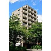 サウザンドリバー