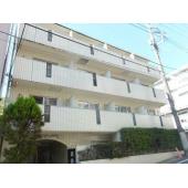 ビリジアン目白