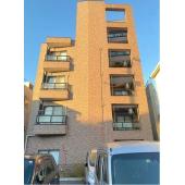 サウスコーラル