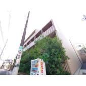 ベルグレードＮＦ