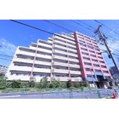 ☆前面道路も広く緑豊かなたたずまい☆