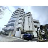 ☆シンプルで美しい外観が清潔感と品格を感じさせます☆