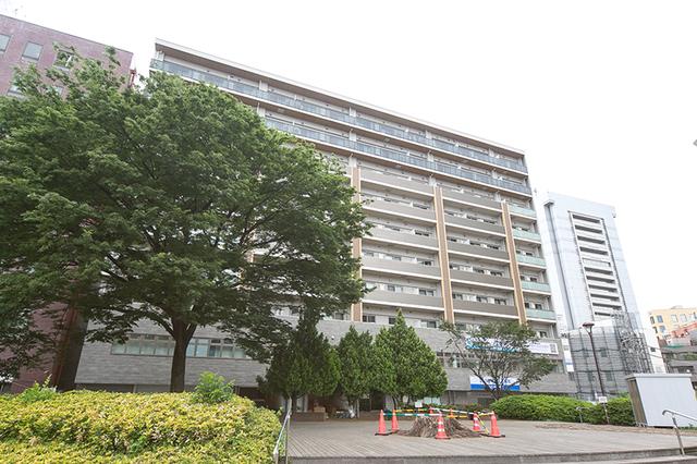 ステラテラス（1002） 外観