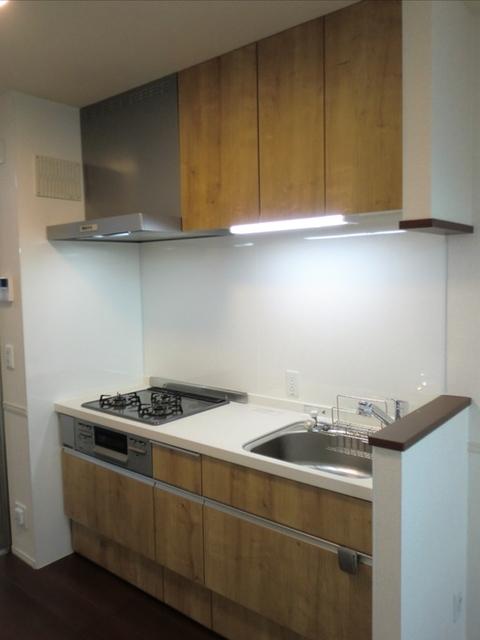 Ｄ−ｒｏｏｍ尾頭橋Ａ（301） キッチン