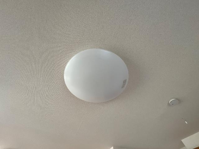 グレイシス堀越 部屋画像
