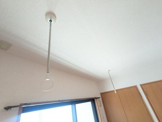 メゾン ド エリシオン（202） 部屋画像