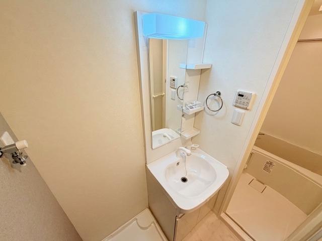 S-RESIDENCE尾頭橋beaute（1203） 洗面