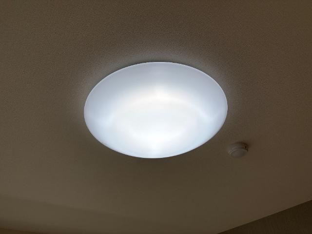 ラ　カーサ明倫 部屋画像