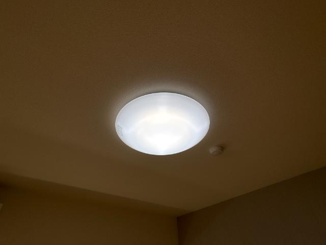 ラ　カーサ明倫 部屋画像