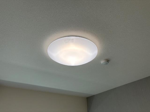 ラ　カーサ明倫 部屋画像