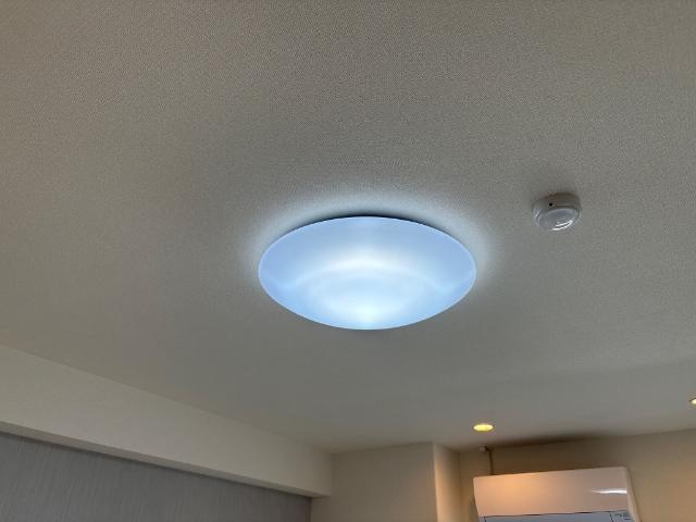 ラ　カーサ明倫 部屋画像