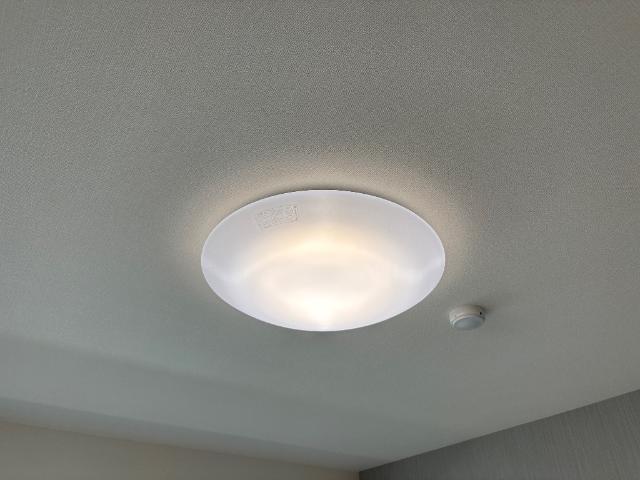ラ　カーサ明倫 部屋画像