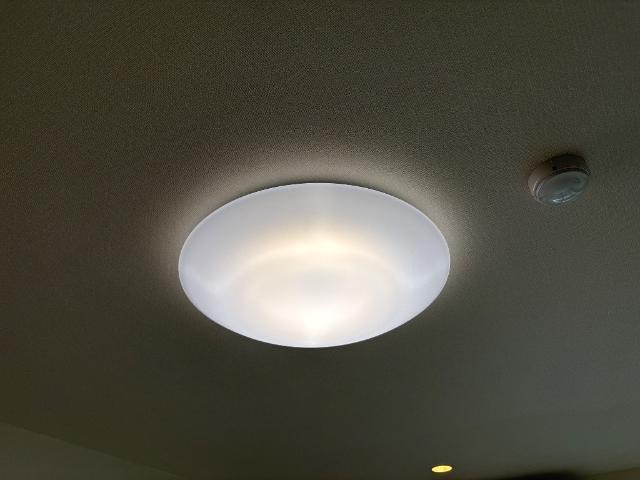 ラ　カーサ明倫 部屋画像
