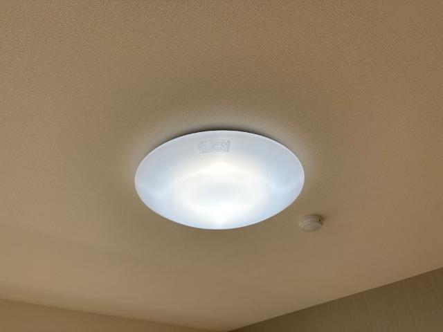 ラ　カーサ明倫 部屋画像