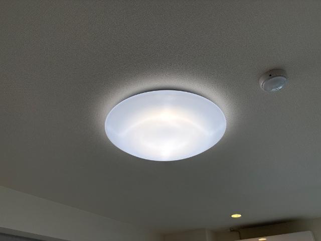 ラ　カーサ明倫 部屋画像