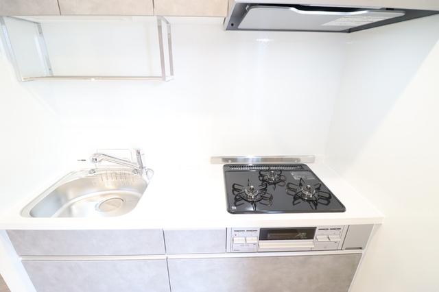 セレスティア藤江町（103） 部屋画像