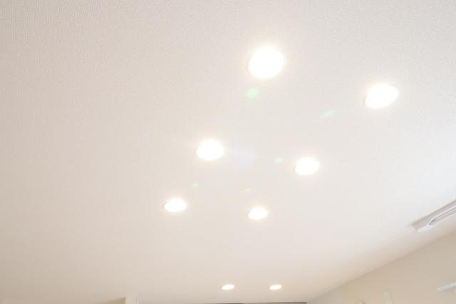 セレスティア藤江町（103） 部屋画像