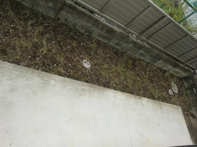 クラウド善南公園（103） バルコニー