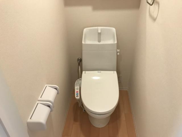 フォレスト 部屋画像
