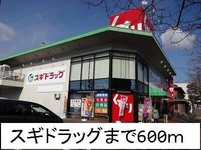 スギドラッグ：600m