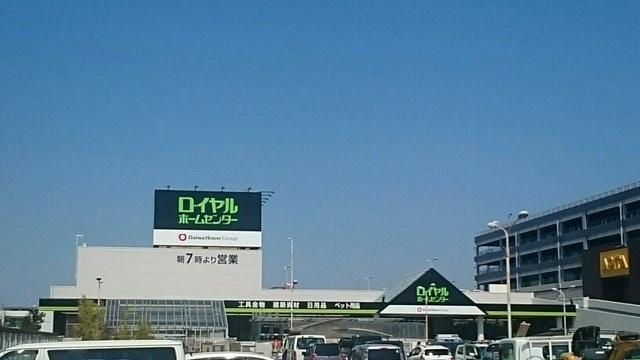 ロイヤルホームセンター：800m