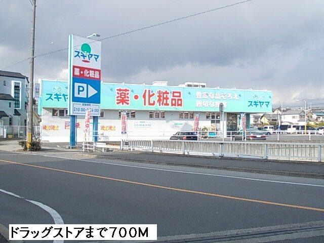 ドラッグスギヤマ：700m
