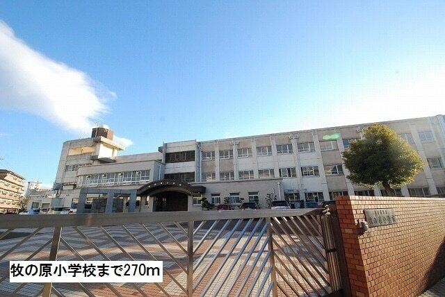 牧の原小学校：270m