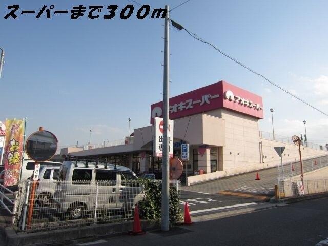 アオキスーパー：300m