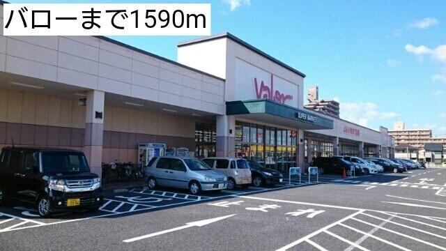 バロー：1590m