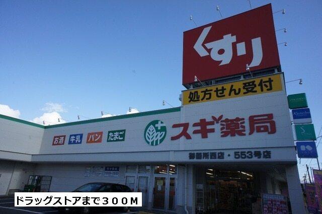 スギ薬局：300m