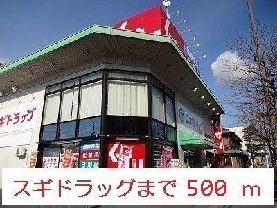 スギドラッグ：500m