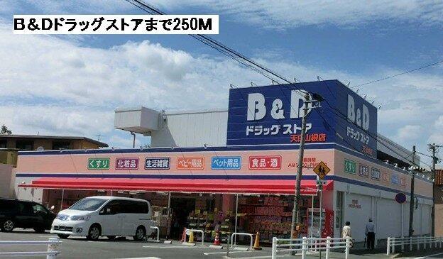 B&Dドラッグ：250m